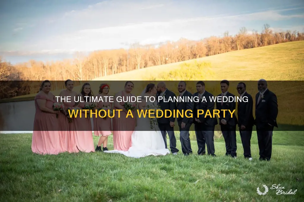 how to plan a wedding without a wedding party