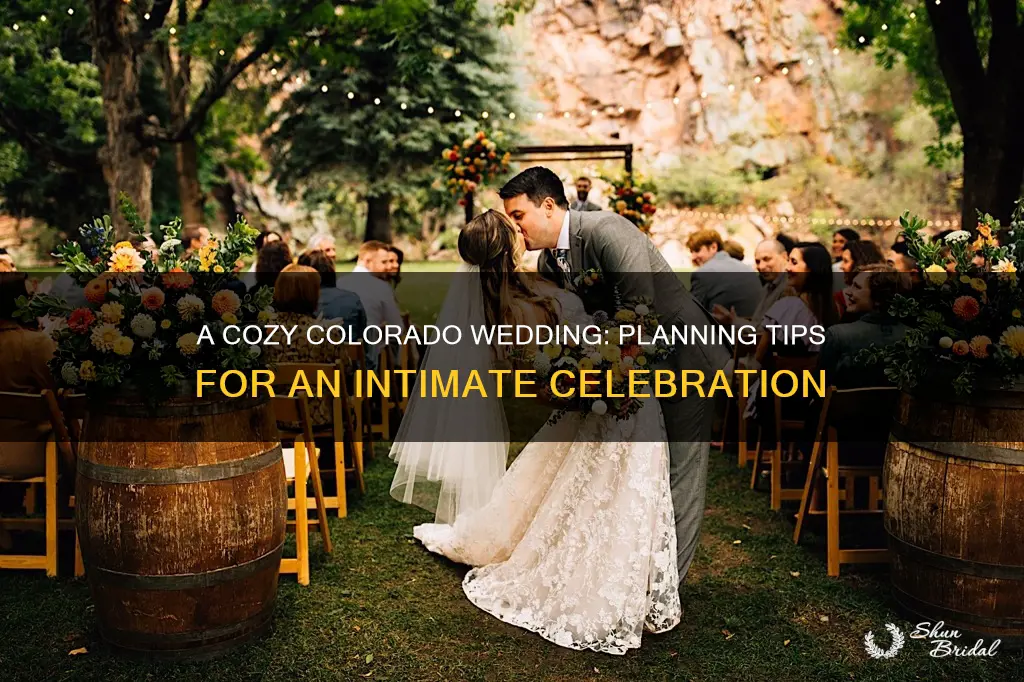 how to plan a wedding without guests in colorado