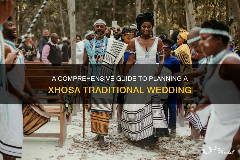 how to plan a xhosa traditional wedding