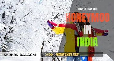 Planning a Honeymoon in India: A Romantic Getaway Guide