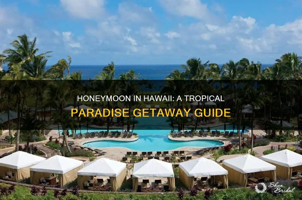 how to plan hawaiian honeymoon