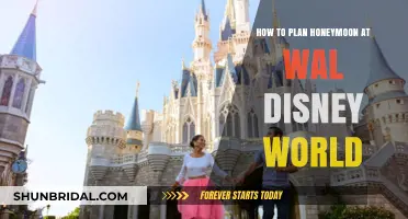 Magical Honeymoon Planning: Your Ultimate Guide to Walt Disney World