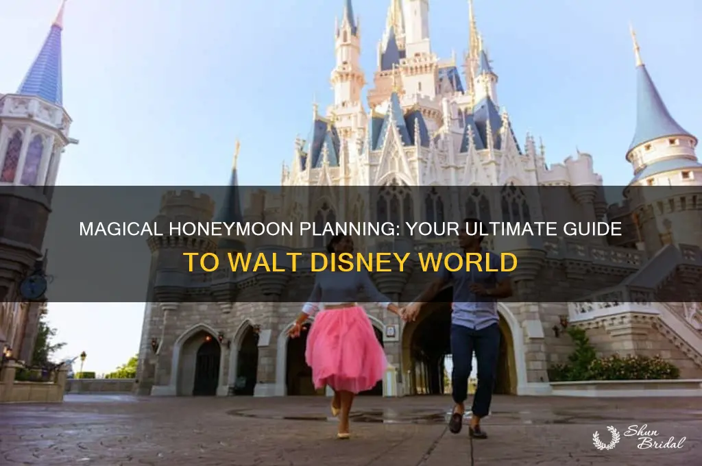 how to plan honeymoon at wal disney world