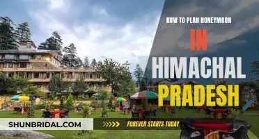 Honeymoon in Himachal: A Guide to Planning Your Perfect Getaway