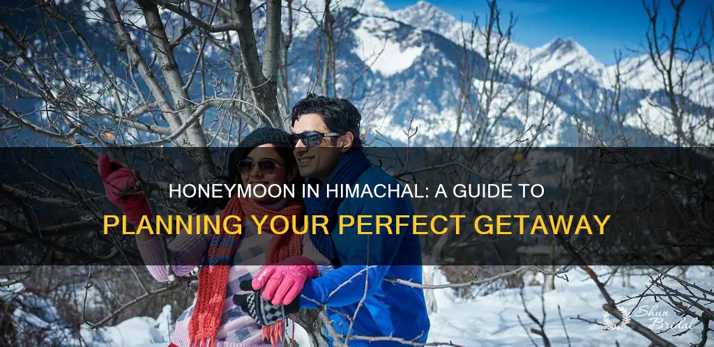 how to plan honeymoon in himachal pradesh