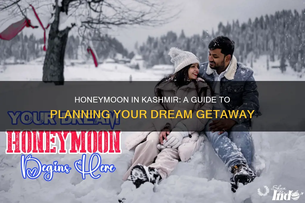 how to plan honeymoon in kashmir