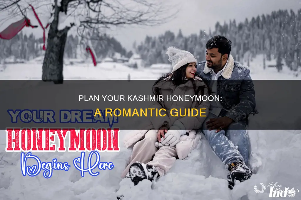 how to plan honeymoon in kashmir