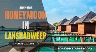 Honeymoon Paradise: Planning Your Lakshadweep Getaway