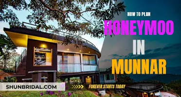 Honeymoon in Munnar: A Guide to Planning Your Perfect Getaway