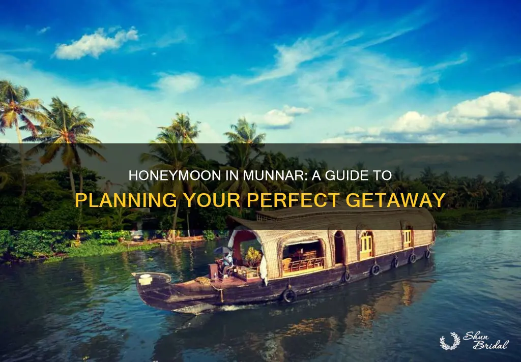 how to plan honeymoon in munnar