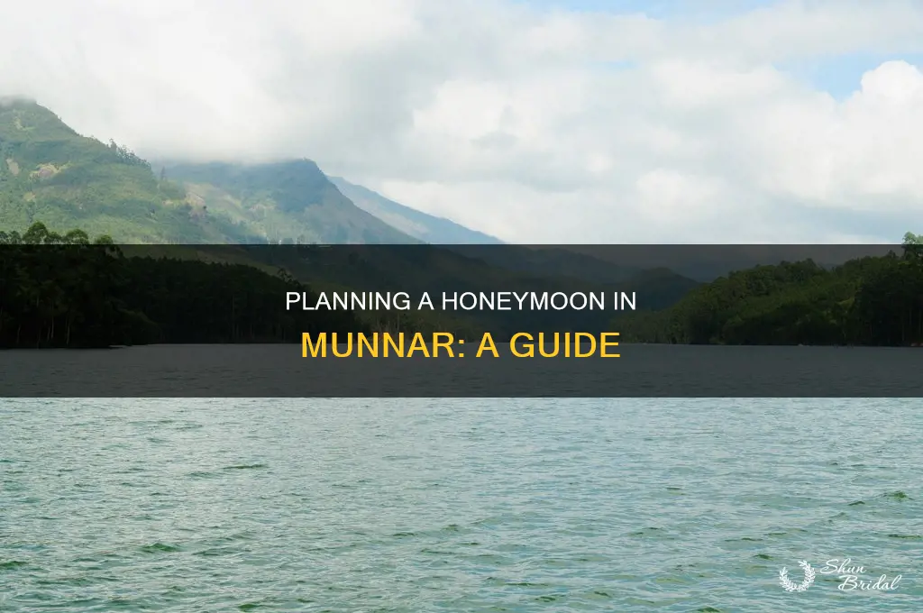 how to plan honeymoon in munnar