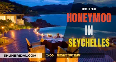 Honeymoon in Paradise: Your Ultimate Seychelles Getaway Guide