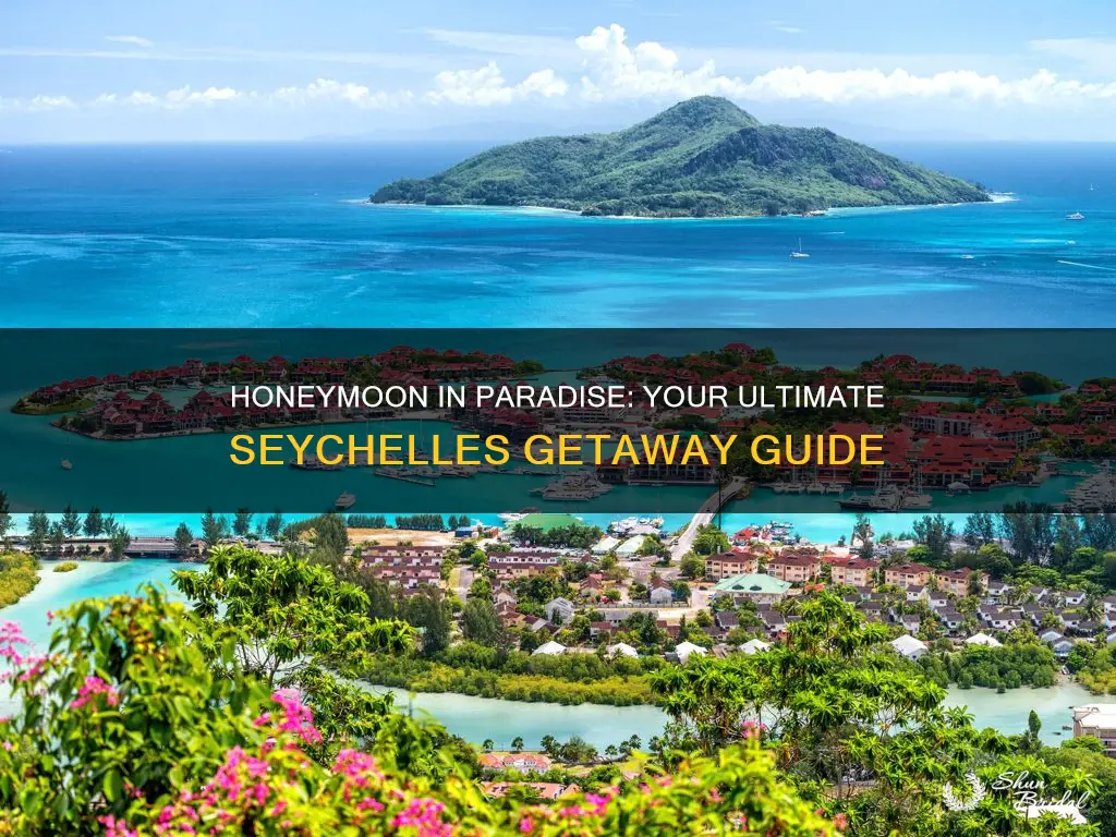 how to plan honeymoon in seychelles