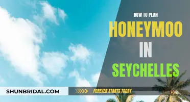 Seychelles Honeymoon: Planning the Romantic Escape