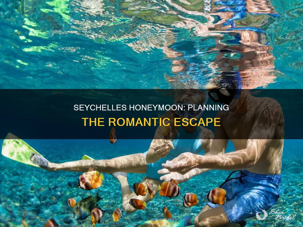 how to plan honeymoon in seychelles