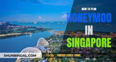 Honeymoon in Singapore: Planning Your Romantic Escape