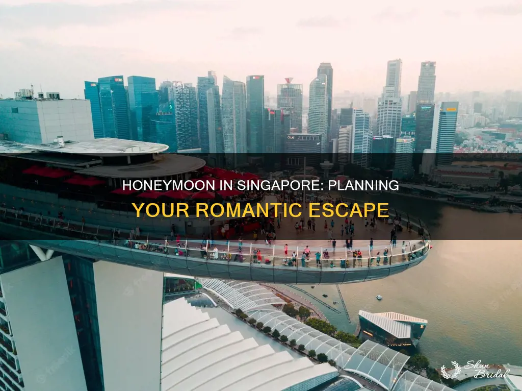 how to plan honeymoon in singapore