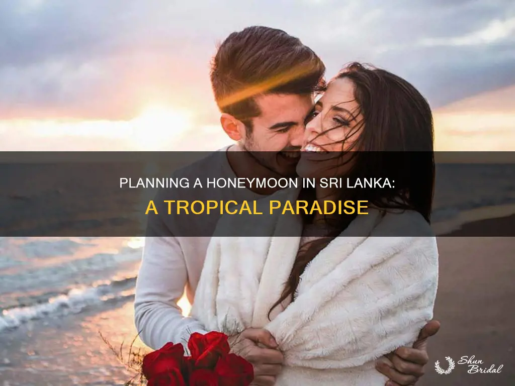 how to plan honeymoon in sri lanka
