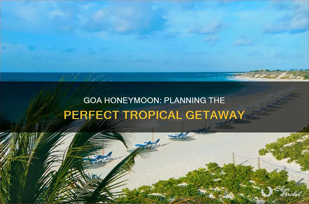 how to plan honeymoon trip in goa