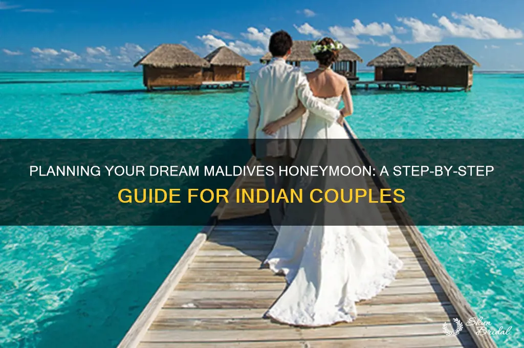 how to plan maldives honeymoon from india
