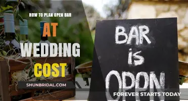 Open Bar Wedding: Tips for Budget-Friendly Drinks