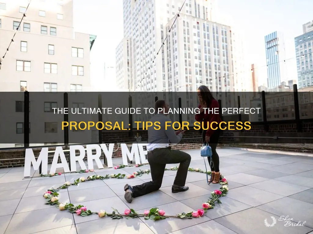 how to plan the perfect wedding proposal