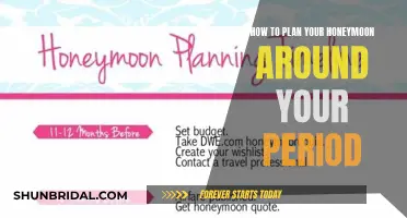 Honeymoon Harmony: Navigating Travel and Period Preferences