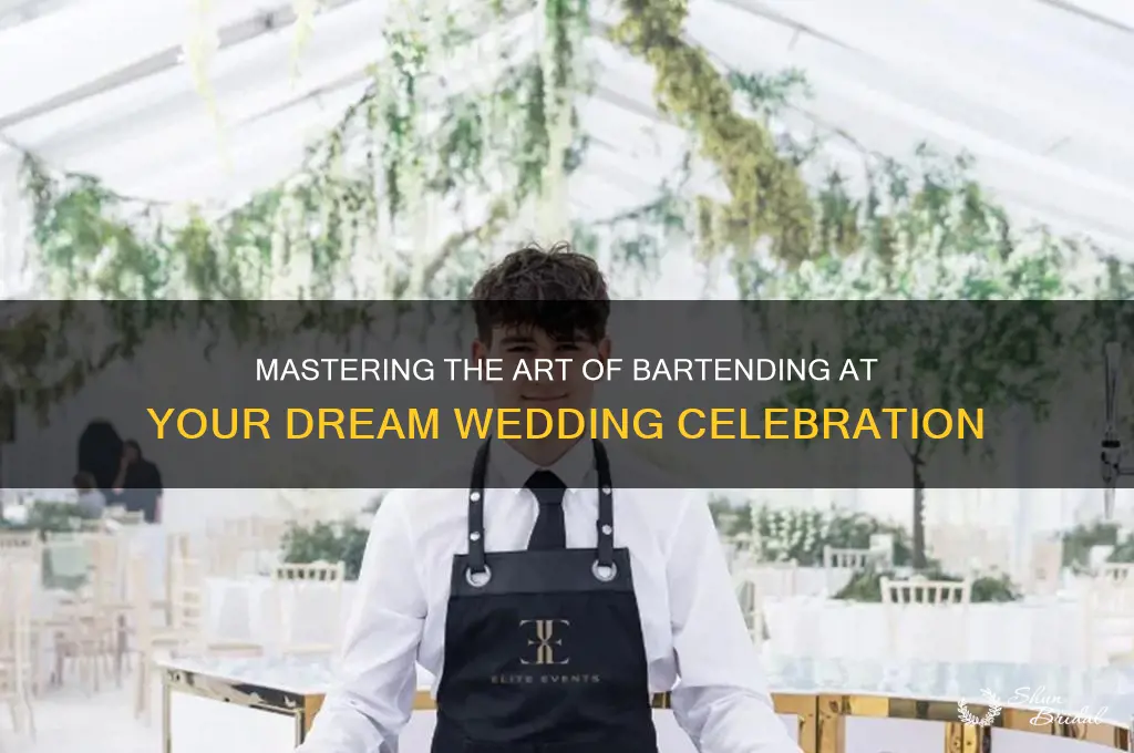 how to play bartender the wedding