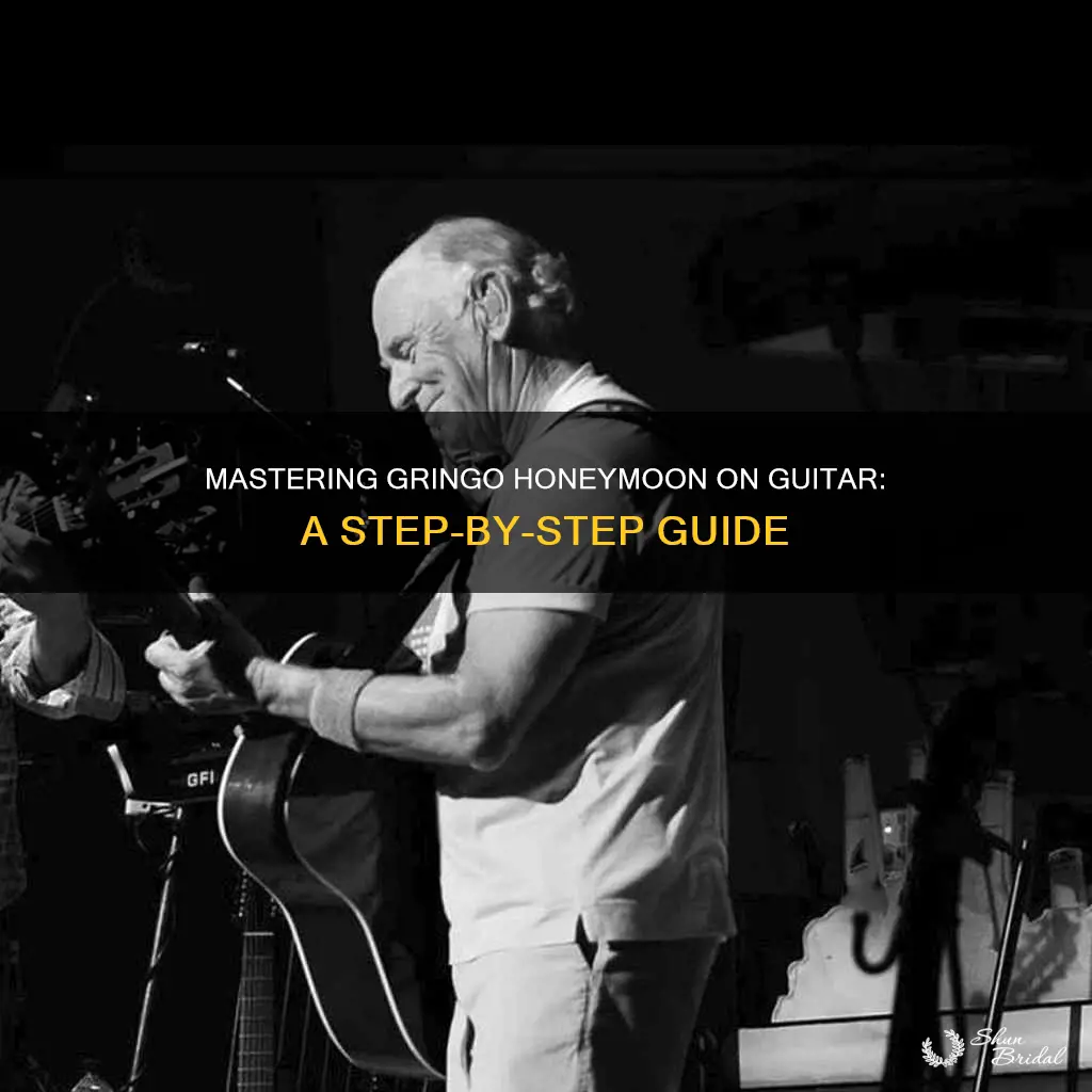 how to play gringo honeymoon on guitar
