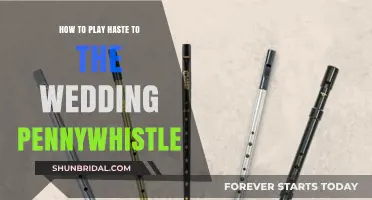 Mastering Haste to the Wedding: Pennywhistle Techniques and Tips