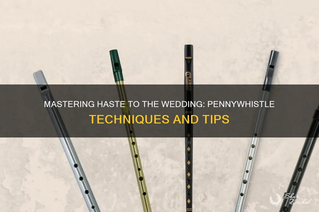 how to play haste to the wedding pennywhistle