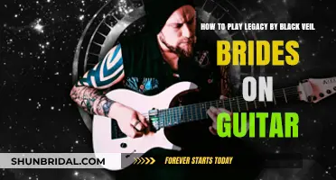 Mastering Legacy: A Guitar Guide to Black Veil Brides' Hit