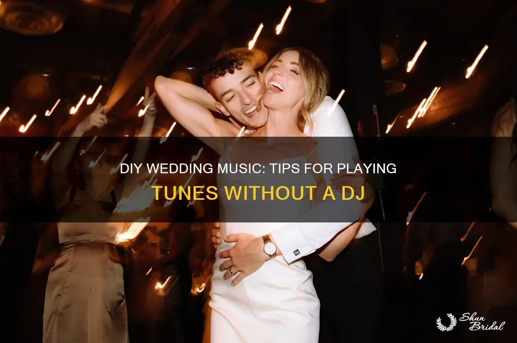 how to play music at a wedding without a dj