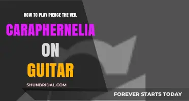 Master Caraphernelia: A Guide to Playing Pierce the Veil on Guitar