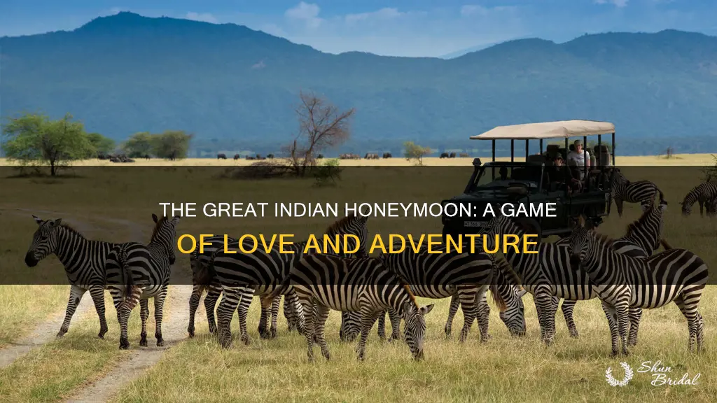 how to play the great indian honeymoon game