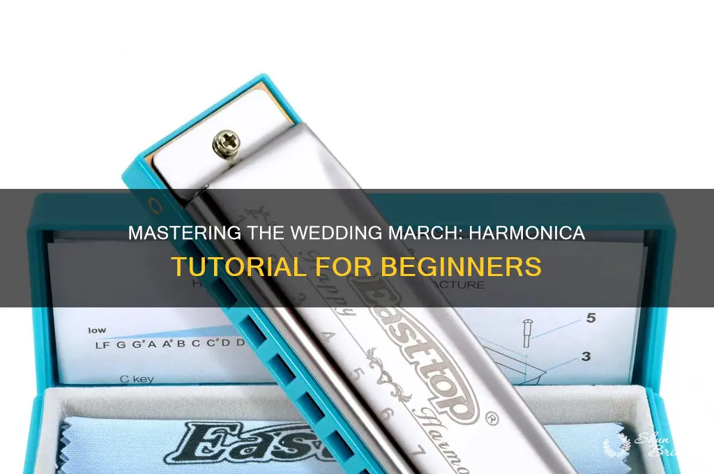 how to play the wedding march on harmonica