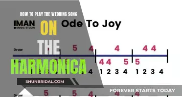 Mastering the Wedding Song on Harmonica