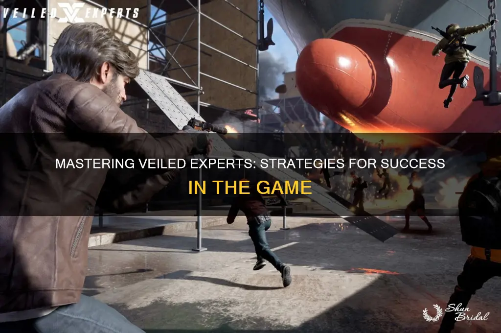 how to play veiled experts