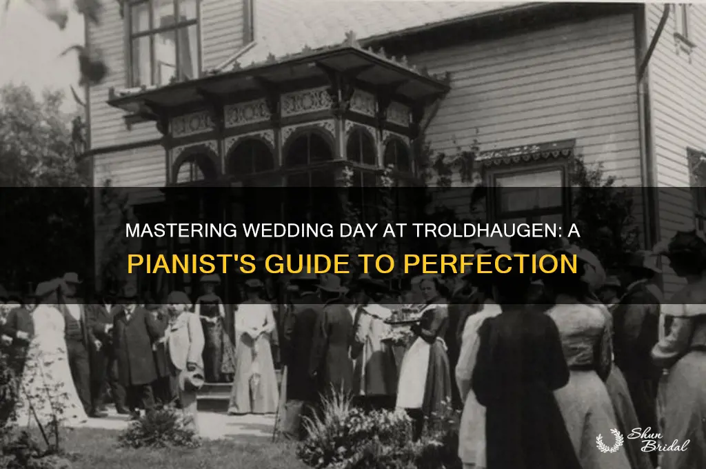 how to play wedding day at troldhaugen