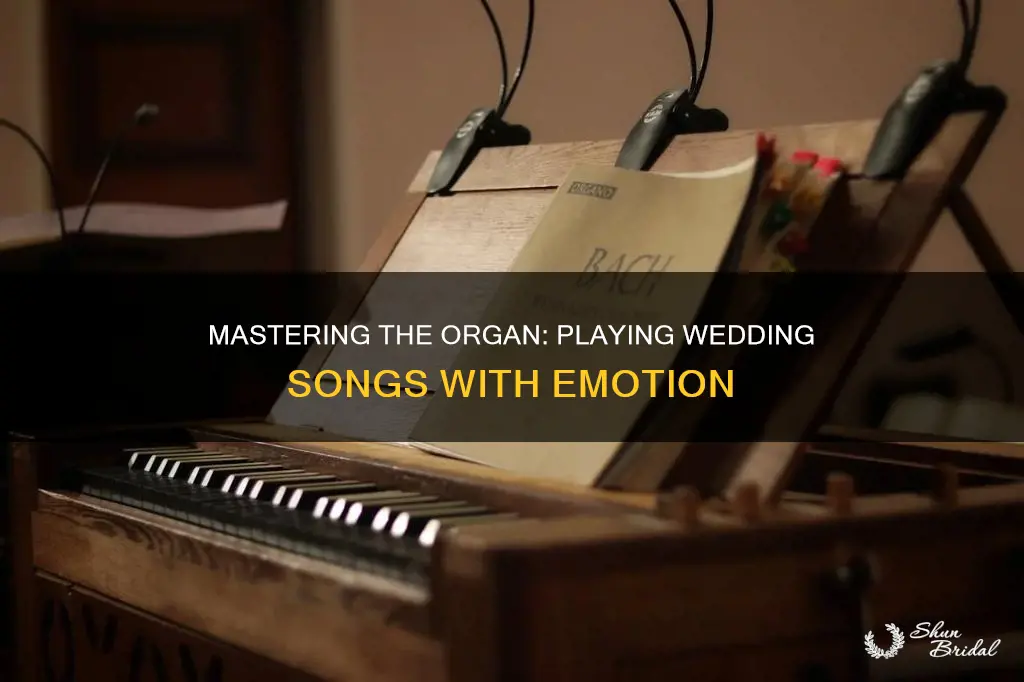 how to play wedding song on organ