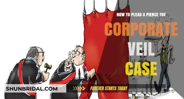 Piercing the Corporate Veil: Strategies for a Successful Legal Defense
