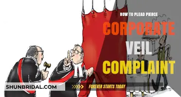 Piercing the Corporate Veil: Crafting a Successful Complaint Strategy
