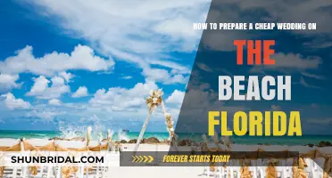 Affordable Beach Wedding Tips for a Dream Florida Celebration