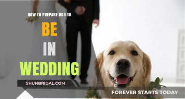 Preparing Your Furry Friend: Tips for Including Dogs in Weddings
