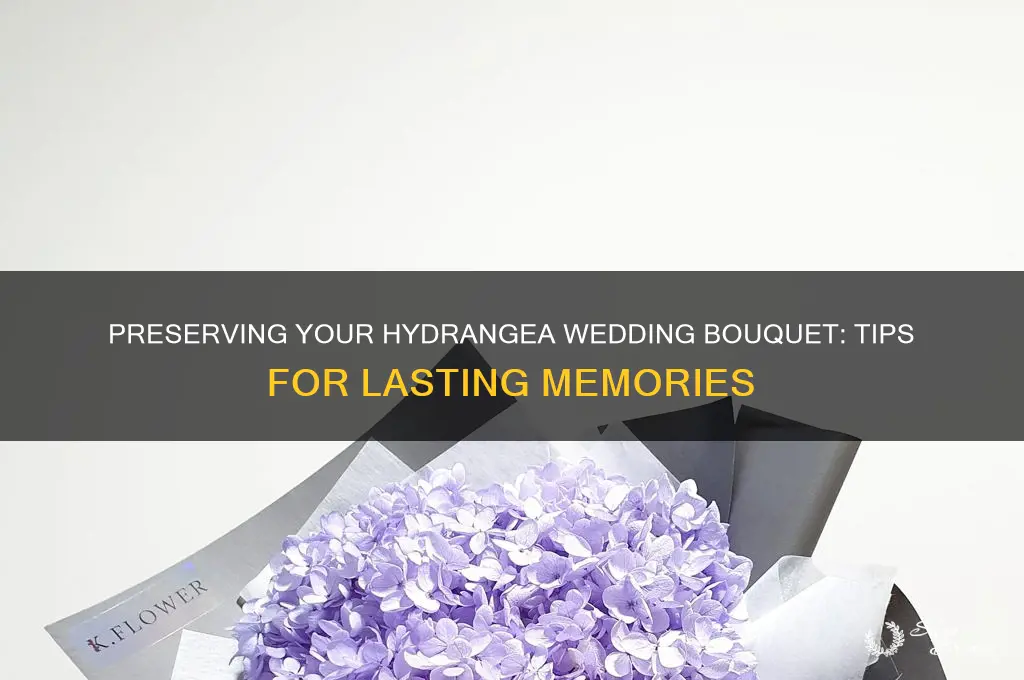 how to preserve hydrangea wedding bouquet