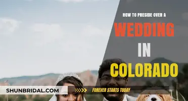 Presiding Over a Colorado Wedding: A Step-by-Step Guide for Officiants