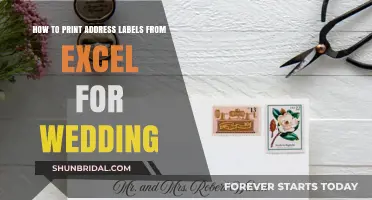 Personalized Wedding Address Labels from Excel in Minutes
