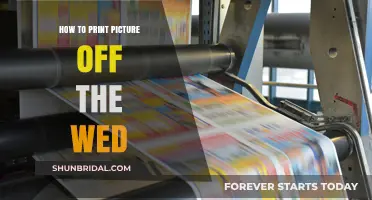 Easy Steps to Print High-Quality Web Images at Home