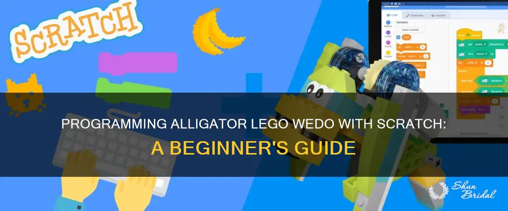 how to program alligator lego wedo using scratch
