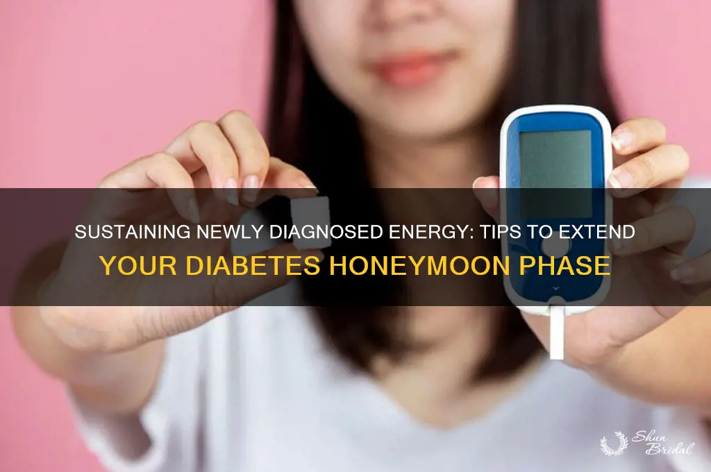 how to prolong the honeymoon period for type 1 diabetes